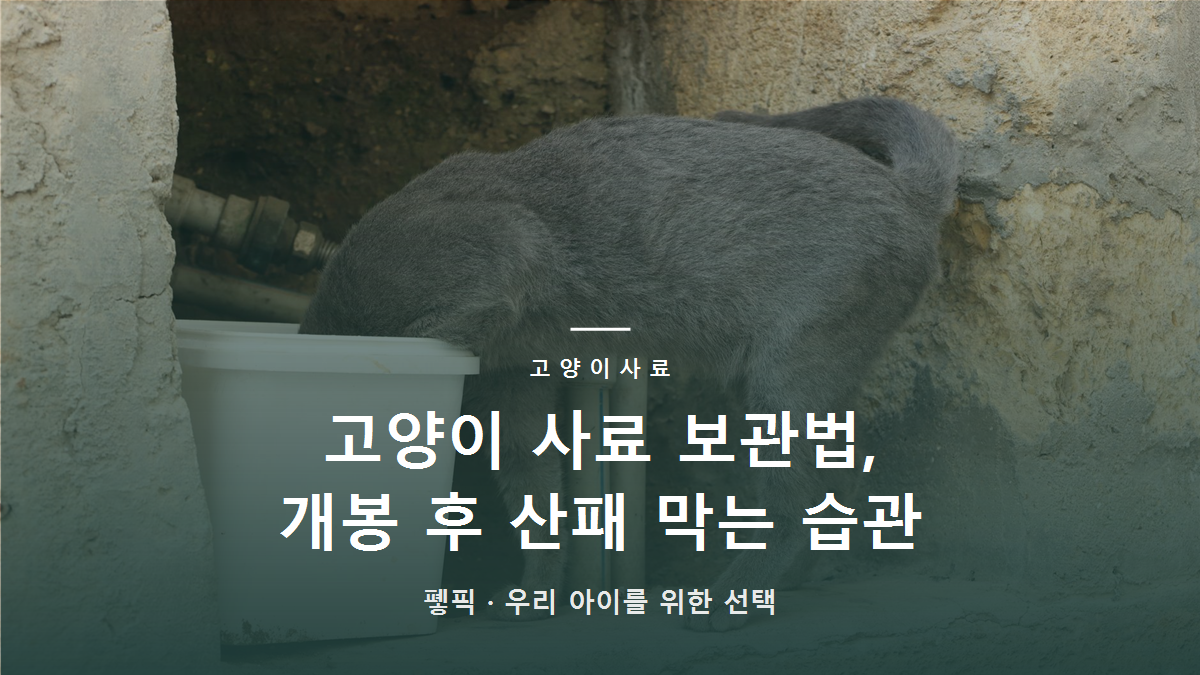 고양이 사료 보관법, 개봉 후 산패 막는 습관