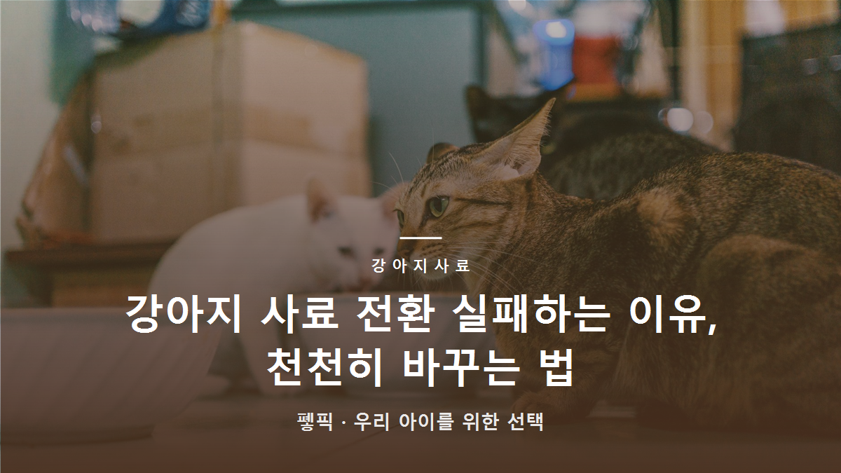 강아지 사료 전환 실패하는 이유, 천천히 바꾸는 법