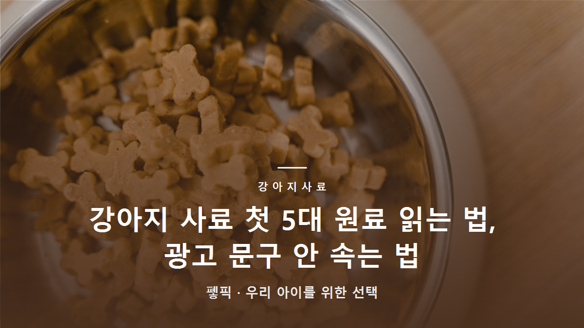 강아지 사료 첫 5대 원료 읽는 법, 광고 문구 안 속는 법