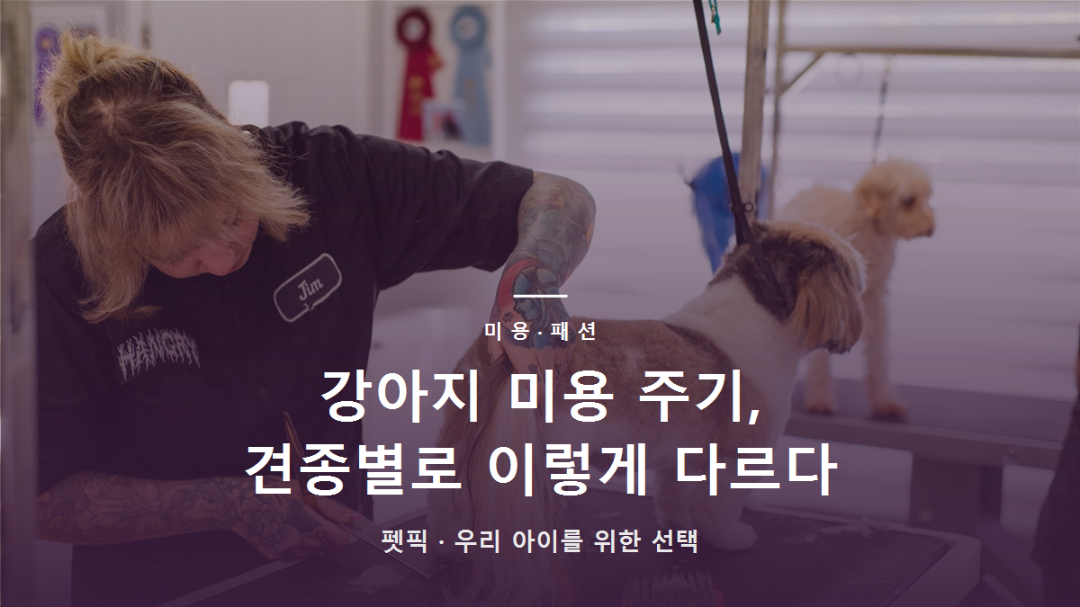 강아지 미용 주기, 견종별로 이렇게 다르다