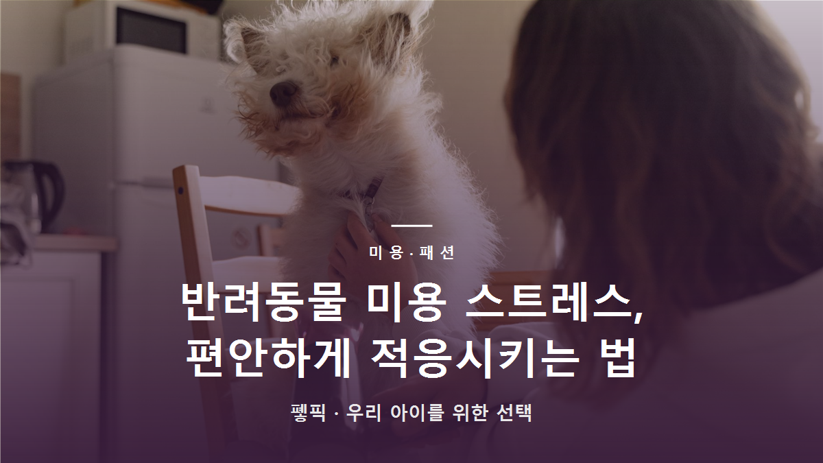 반려동물 미용 스트레스, 편안하게 적응시키는 법