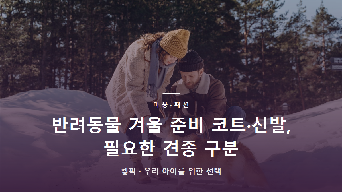 반려동물 겨울 준비 코트·신발, 필요한 견종 구분