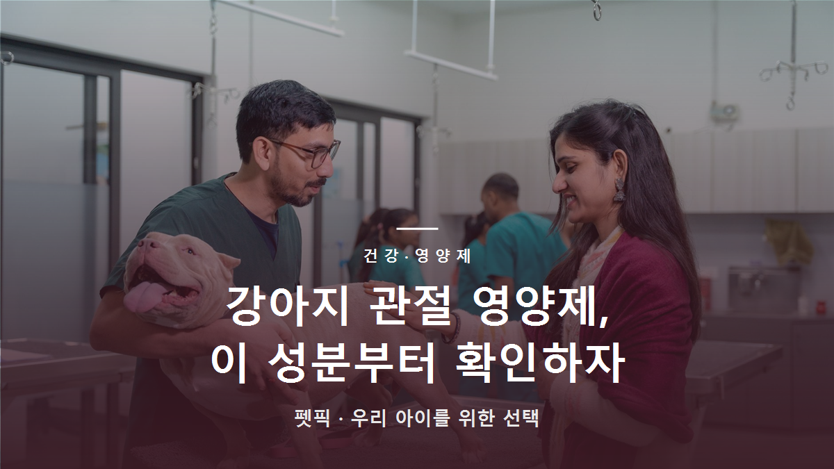 강아지 관절 영양제, 이 성분부터 확인하자