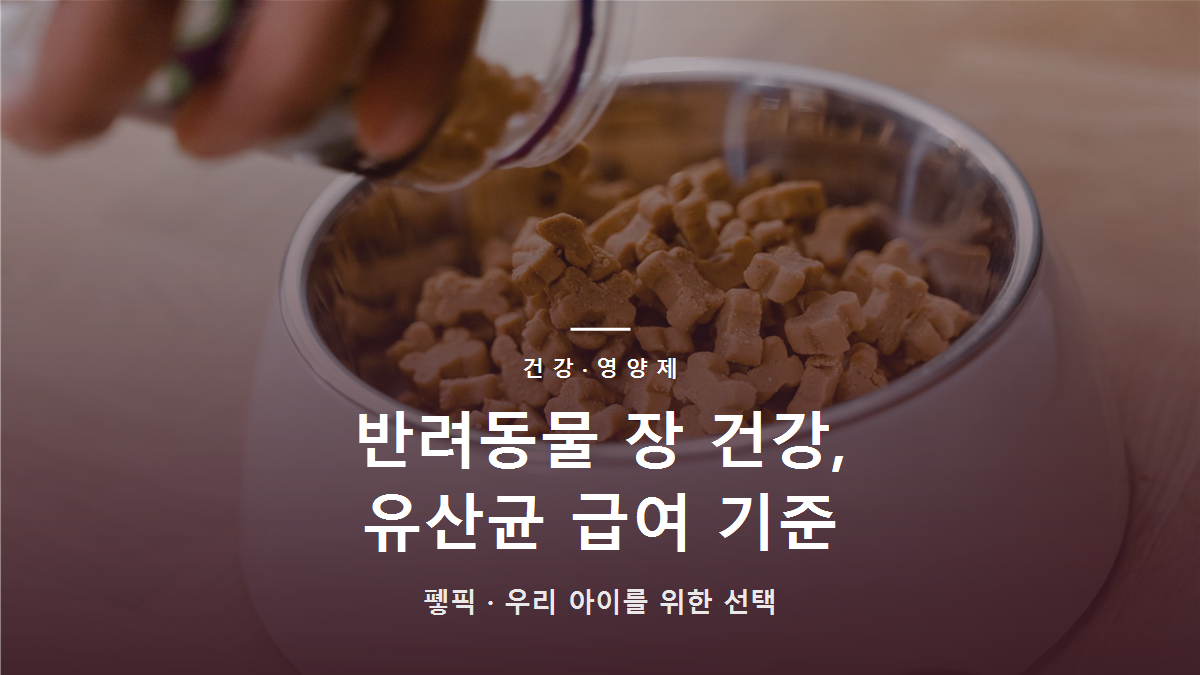 반려동물 장 건강, 유산균 급여 기준