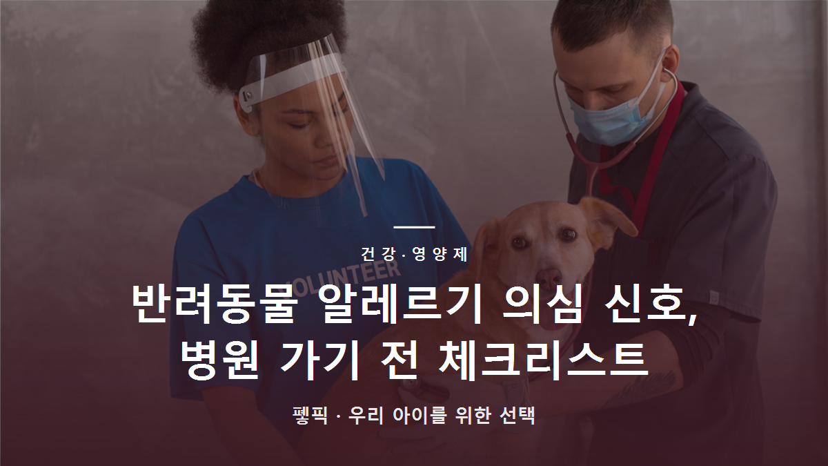 반려동물 알레르기 의심 신호, 병원 가기 전 체크리스트