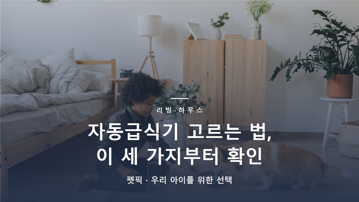 자동급식기 고르는 법, 이 세 가지부터 확인