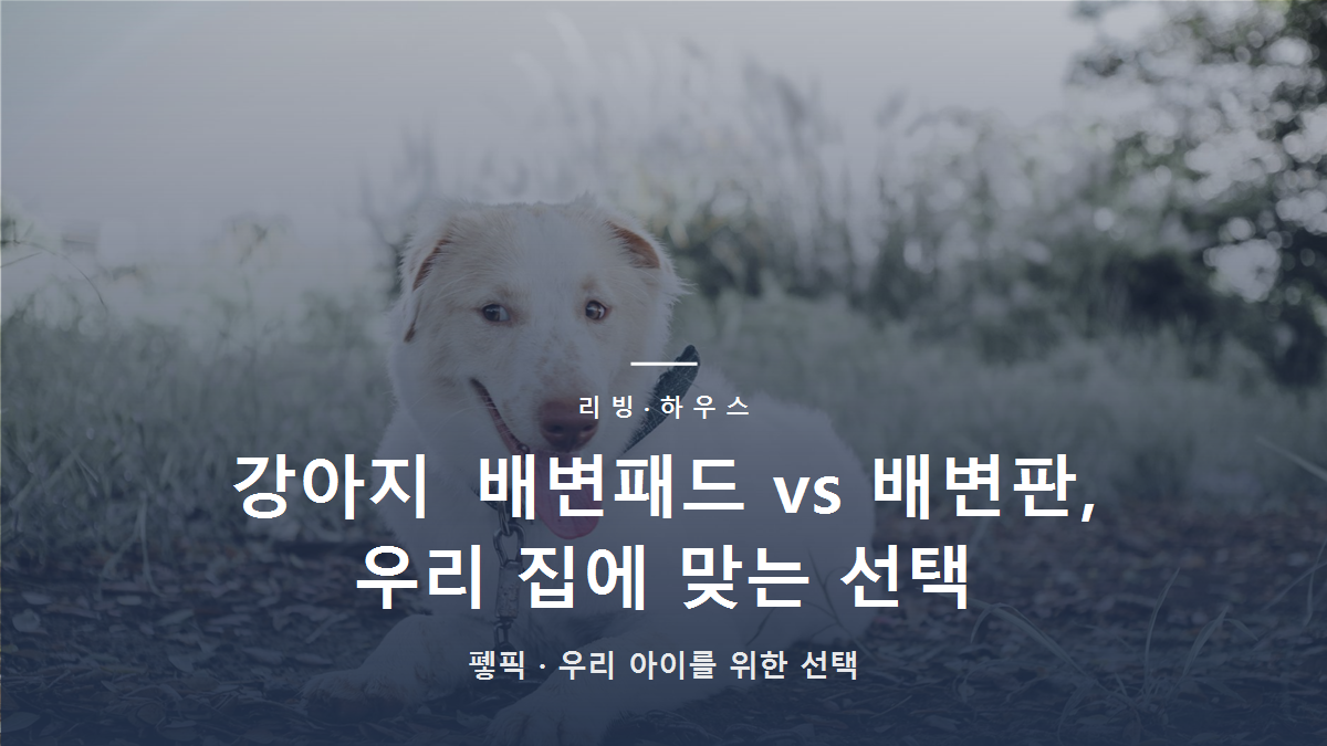 강아지 배변패드 vs 배변판, 우리 집에 맞는 선택