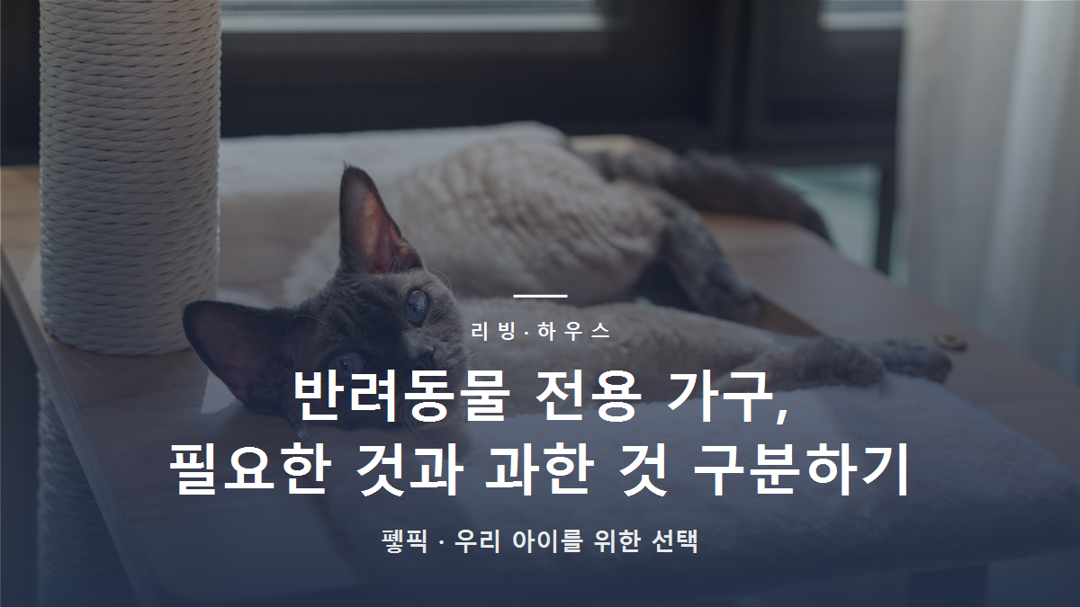 반려동물 전용 가구, 필요한 것과 과한 것 구분하기