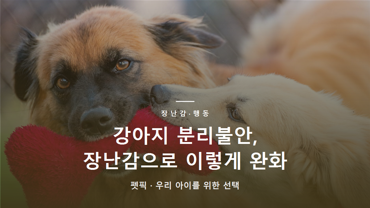 강아지 분리불안, 장난감으로 이렇게 완화