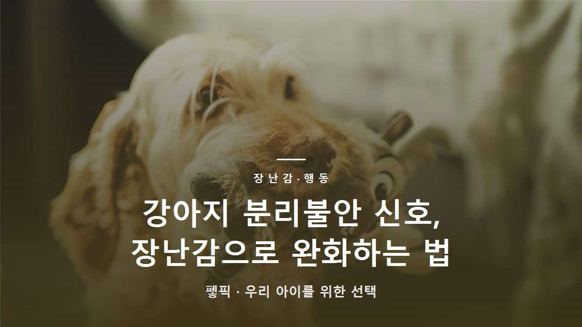 강아지 분리불안 신호, 장난감으로 완화하는 법