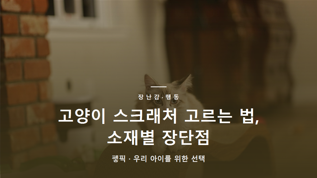 고양이 스크래처 고르는 법, 소재별 장단점