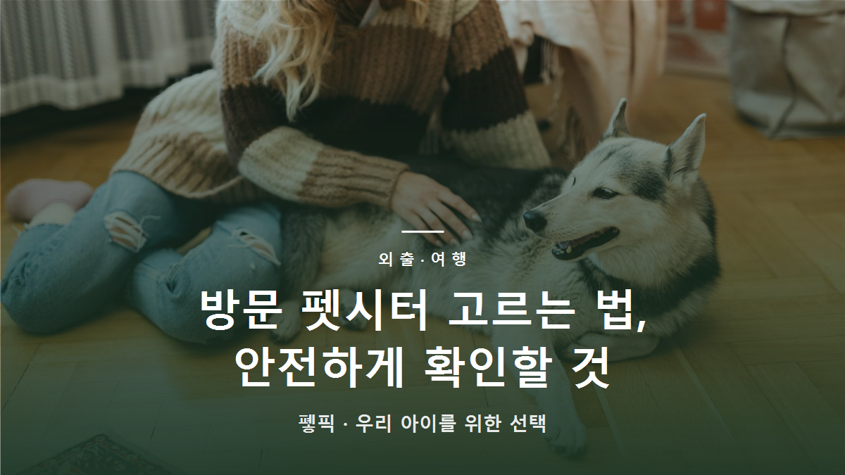 방문 펫시터 고르는 법, 안전하게 확인할 것