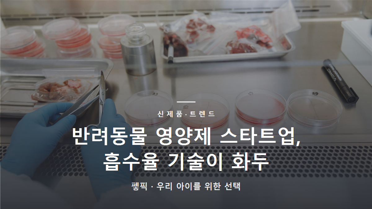 반려동물 영양제 스타트업, 흡수율 기술이 화두