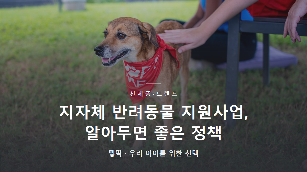 지자체 반려동물 지원사업, 알아두면 좋은 정책