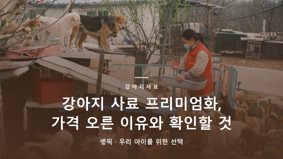 강아지 사료 프리미엄화, 가격 오른 이유와 확인할 것