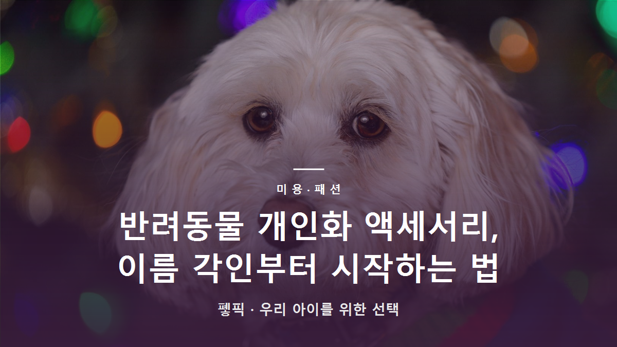 반려동물 개인화 액세서리, 이름 각인부터 시작하는 법