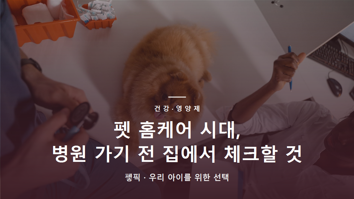 펫 홈케어 시대, 병원 가기 전 집에서 체크할 것