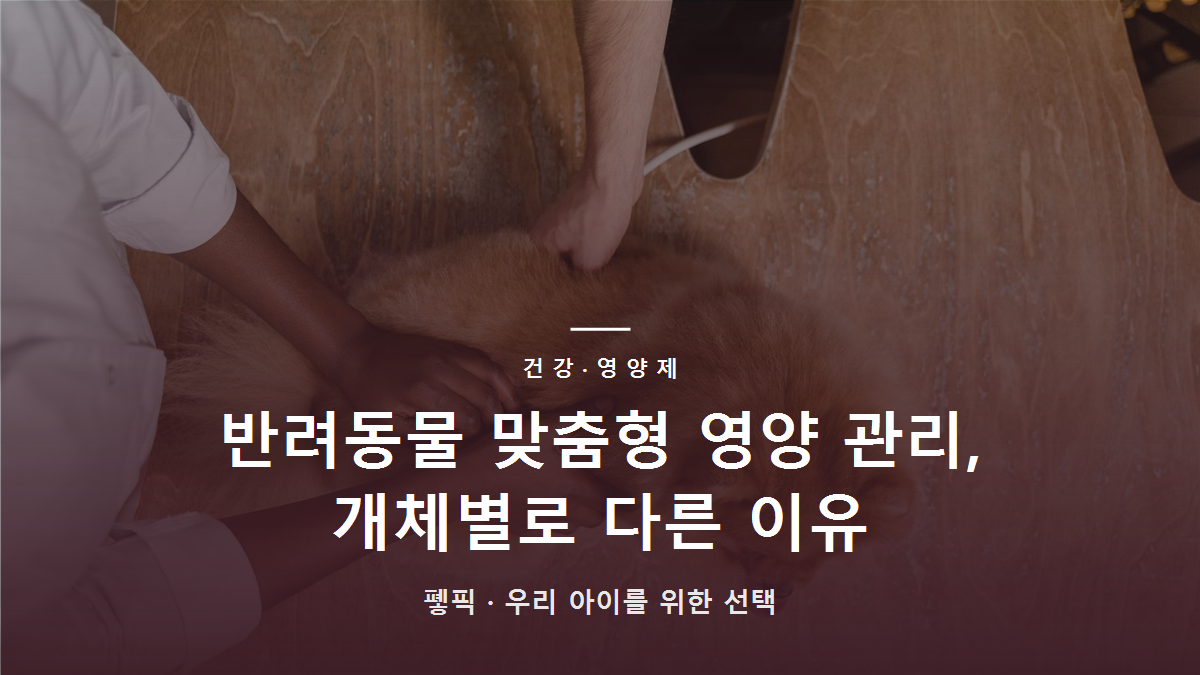 반려동물 맞춤형 영양 관리, 개체별로 다른 이유
