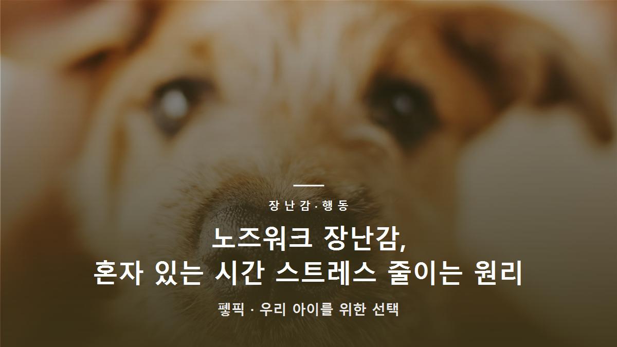 노즈워크 장난감, 혼자 있는 시간 스트레스 줄이는 원리