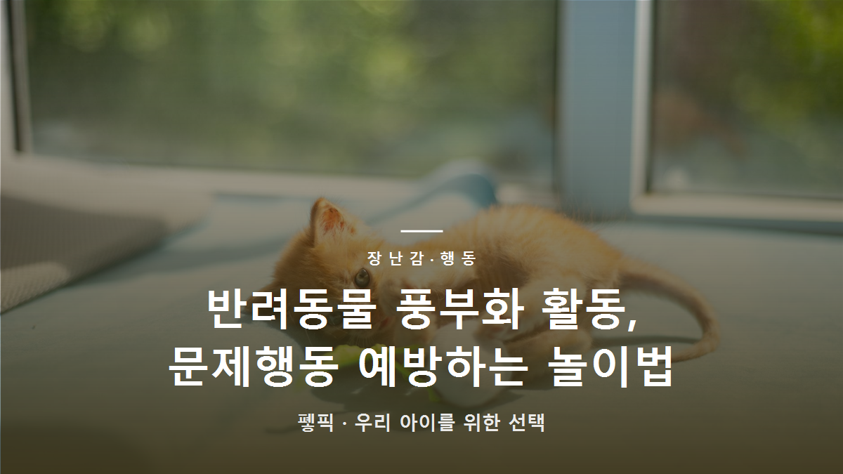 반려동물 풍부화 활동, 문제행동 예방하는 놀이법