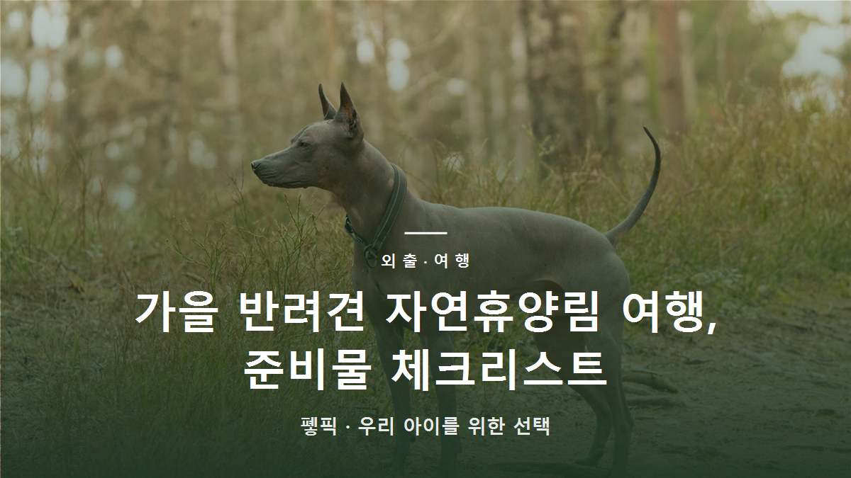 가을 반려견 자연휴양림 여행, 준비물 체크리스트