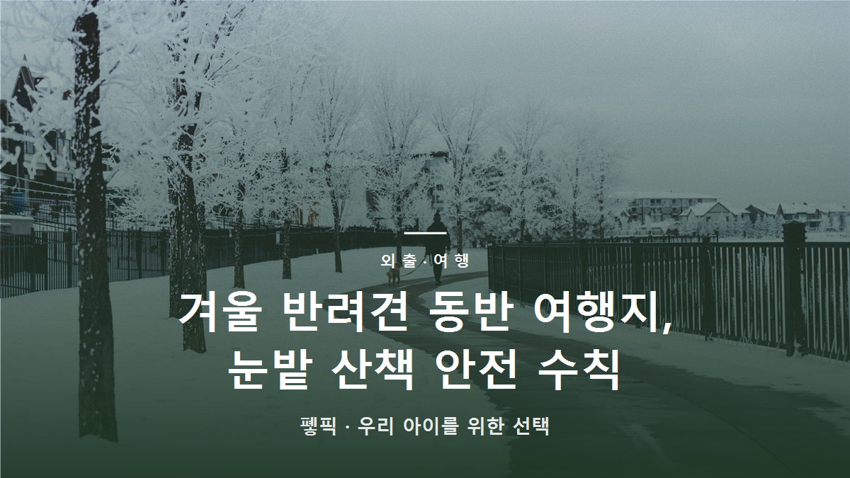 겨울 반려견 동반 여행지, 눈밭 산책 안전 수칙